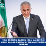 Ɗan tsohon sarkin Iran ya buƙaci masu zanga-zanga su mamaye birnin Tehran.