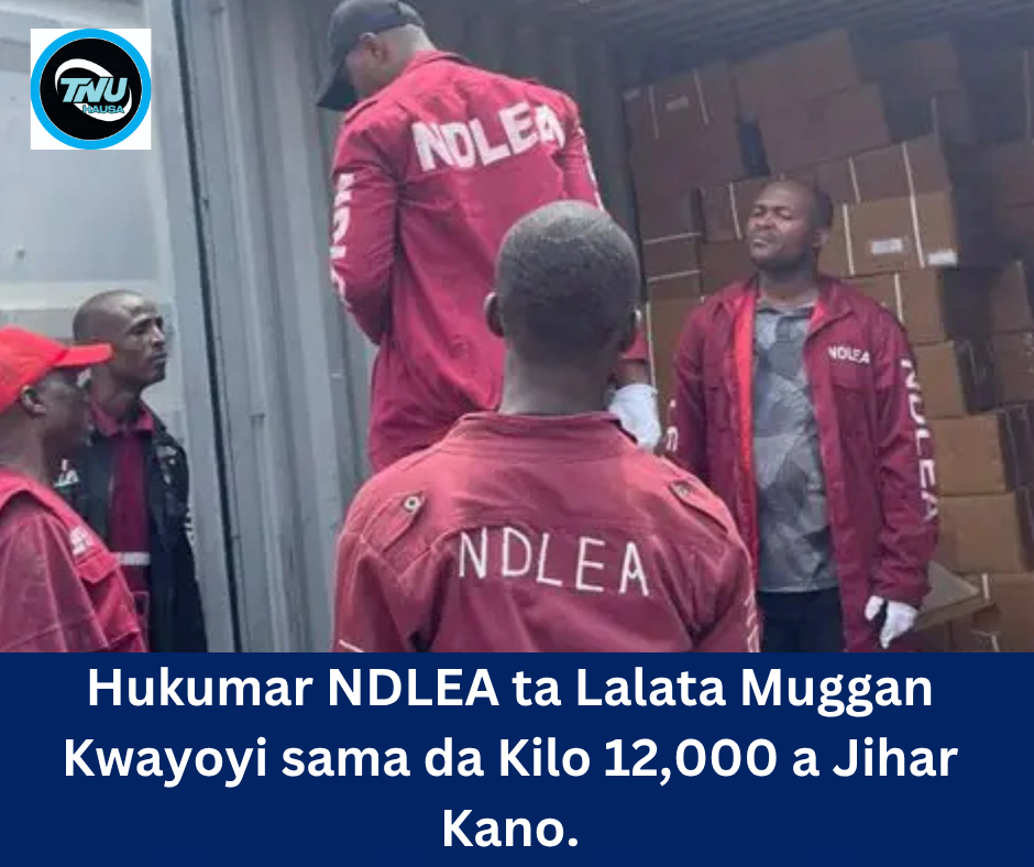 Hukumar NDLEA ta Lalata Muggan Kwayoyi sama da Kilo 12,000 a Jihar Kano.