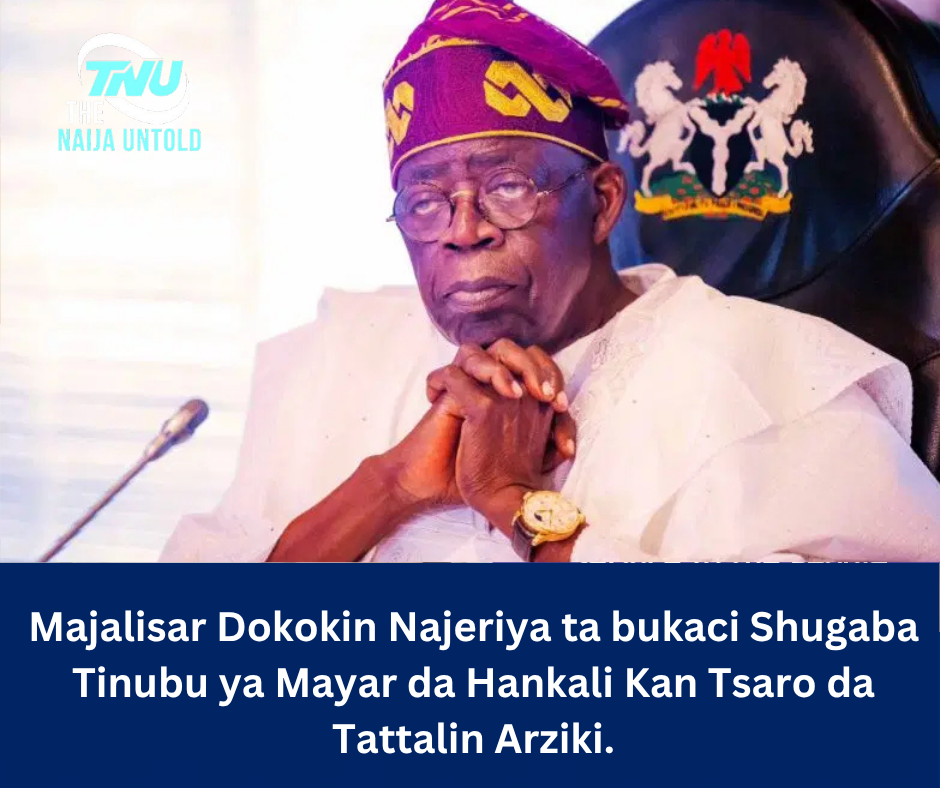 Majalisar Dokokin Najeriya ta bukaci Shugaba Tinubu ya Mayar da Hankali Kan Tsaro da Tattalin Arziki.