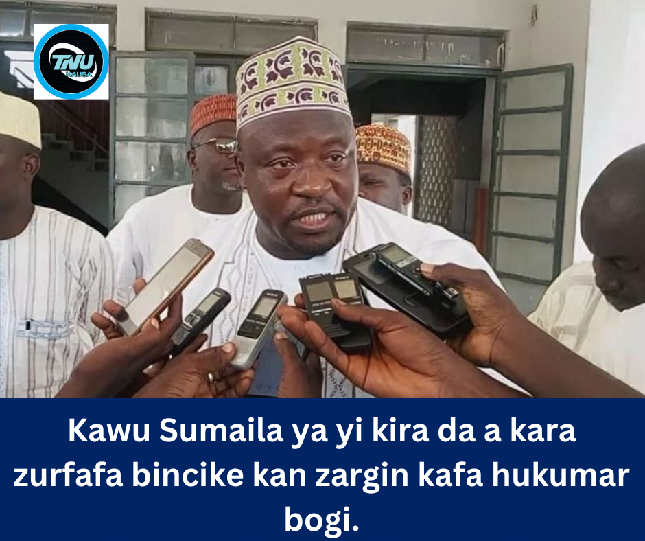 Kawu Sumaila ya yi kira da a kara zurfafa bincike kan zargin kafa hukumar bogi.