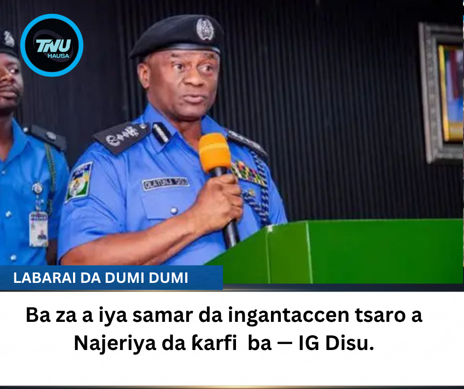Ba za a iya samar da ingantaccen tsaro a Najeriya da ƙarfi  ba — IG Disu.